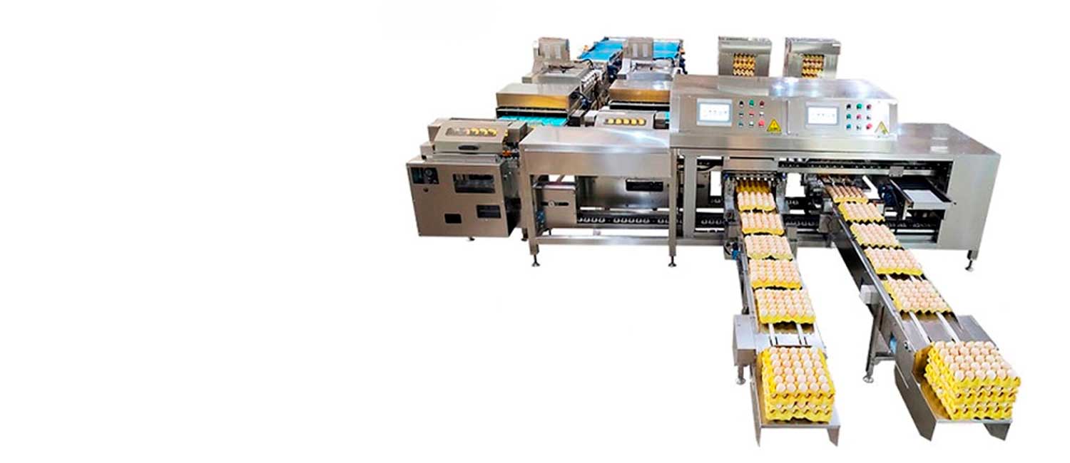 ZENYER Farm Packer empaque de huevos