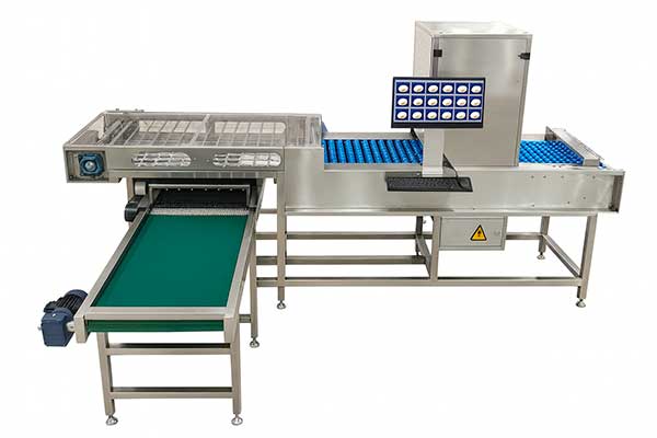 Detectores visuales con IA — ZENYER