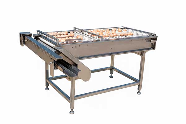 Equipos transportadores adicionales — ZENYER