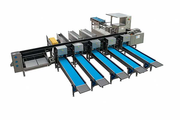 Clasificación y empaque automáticos — ZENYER