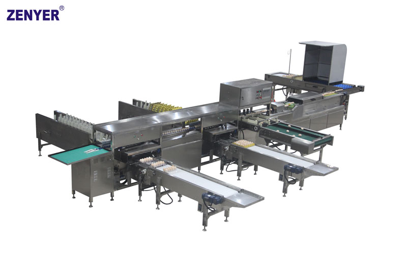 Máquina de clasificación de huevos ZYF-DS1-2Z (104A)