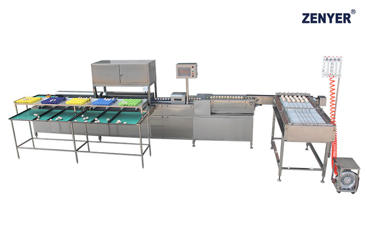 Máquina de clasificación de huevos ZYF-DS1-C (104B)