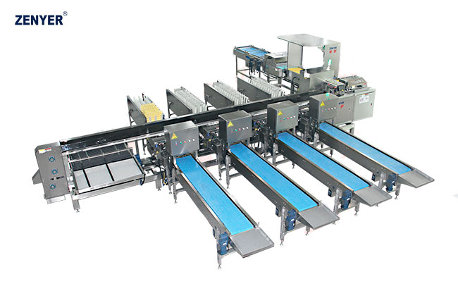 Máquina de clasificación de huevos ZYF-HDS6-4Z  (109)