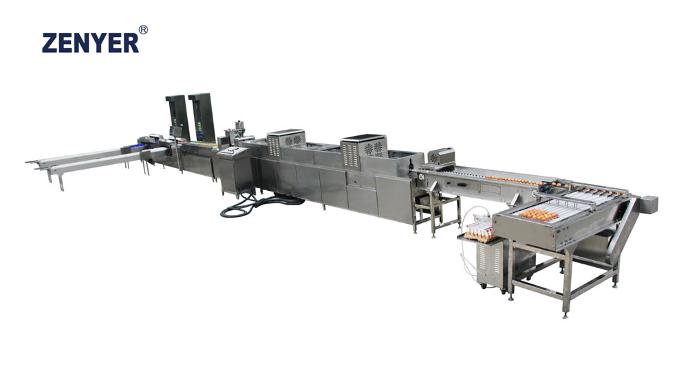 Línea automática de procesamiento de huevos ZYL-JS1-D1-ZP (302A)