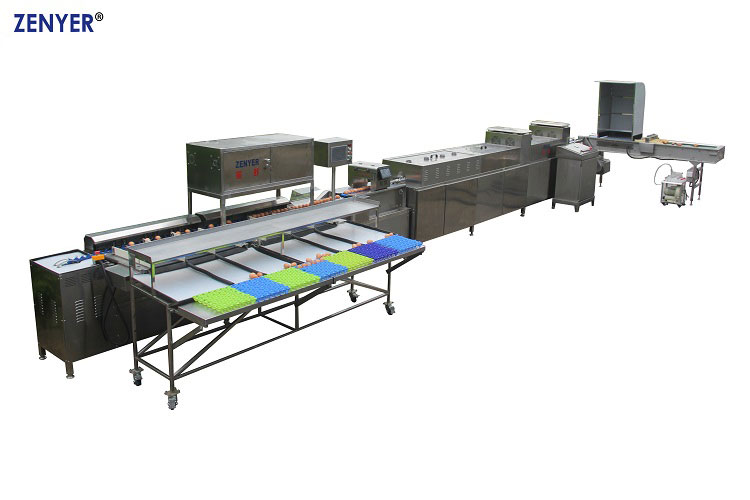 Línea automática de procesamiento de huevos ZYL-JS1-D1-C (302AS)