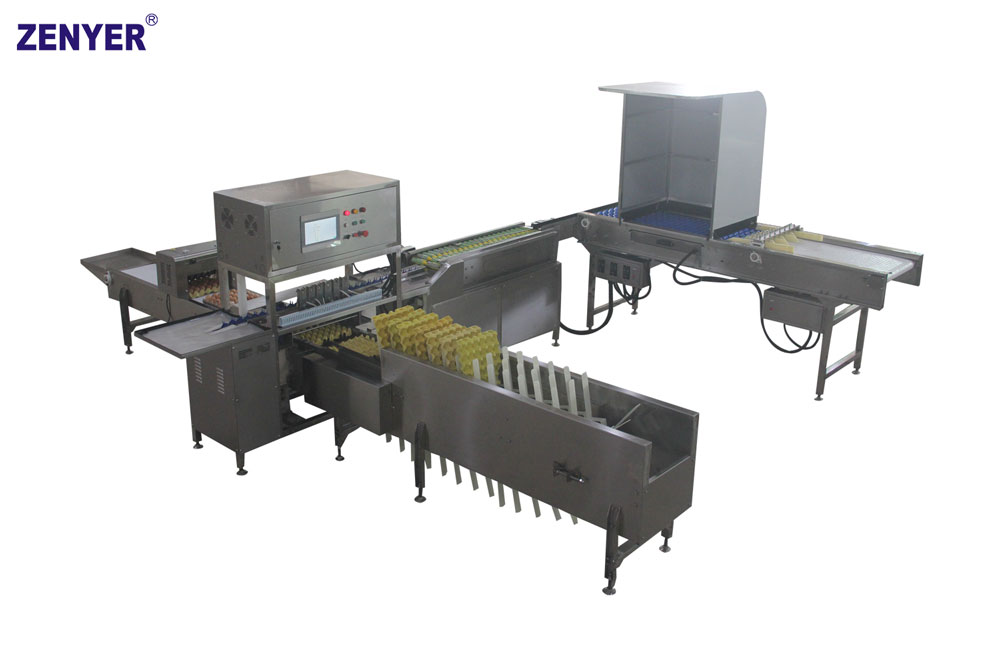 Línea de envasado automático ZYF-DA1 (710 Farm Packer)