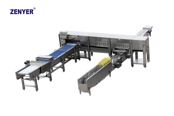 Línea de envasado automático ZYZ-S6 (712 Farm Packer)