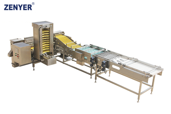 Línea de envasado automático ZYZ-HD6 (713 Farm Packer)